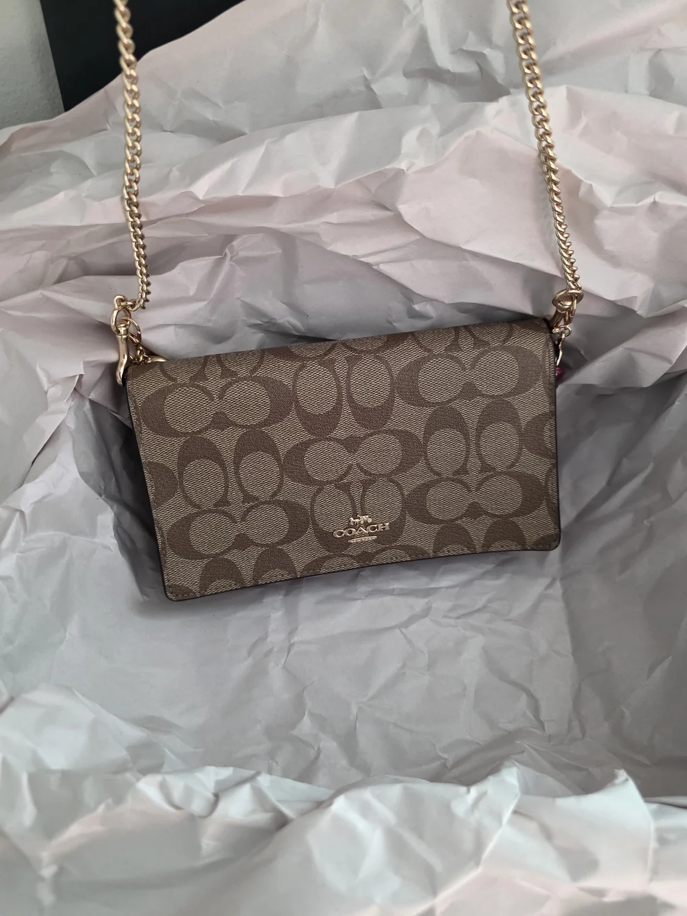 Coach Signature Canvas Crossbody Bag in Brown